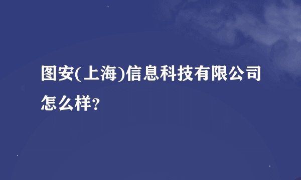 图安(上海)信息科技有限公司怎么样？