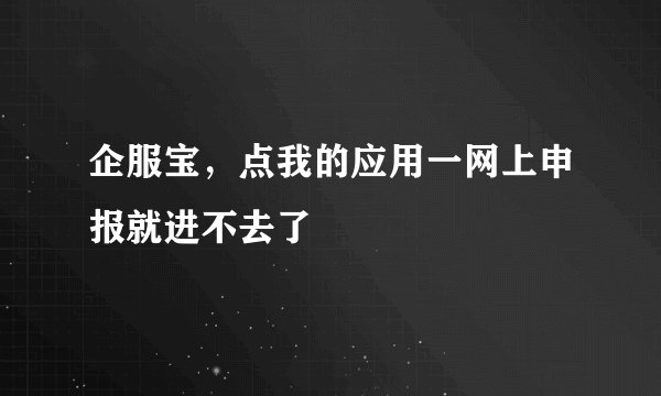 企服宝，点我的应用一网上申报就进不去了
