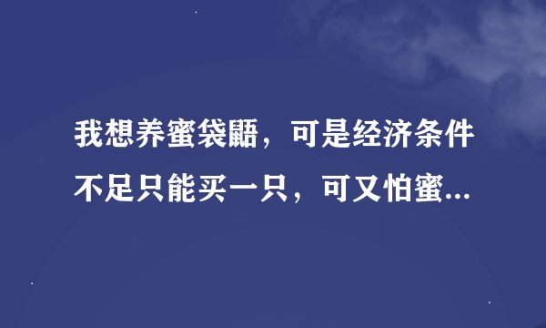 我想养蜜袋鼯，可是经济条件不足只能买一只，可又怕蜜袋鼯自残有什么办法不让蜜袋鼯自残吗？