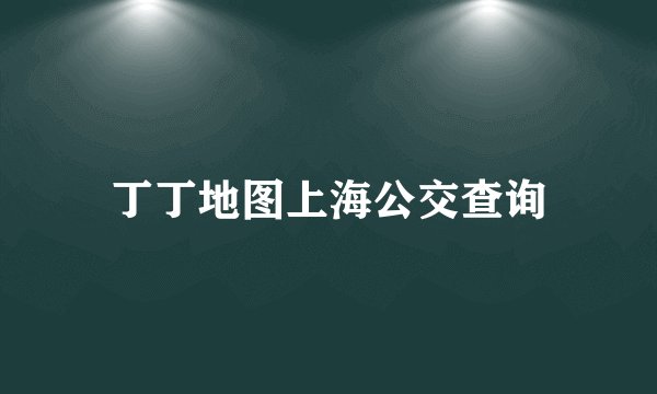 丁丁地图上海公交查询