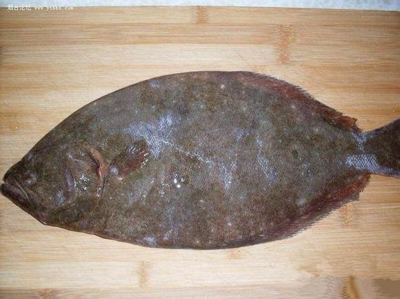 可食用海鱼的种类和简介