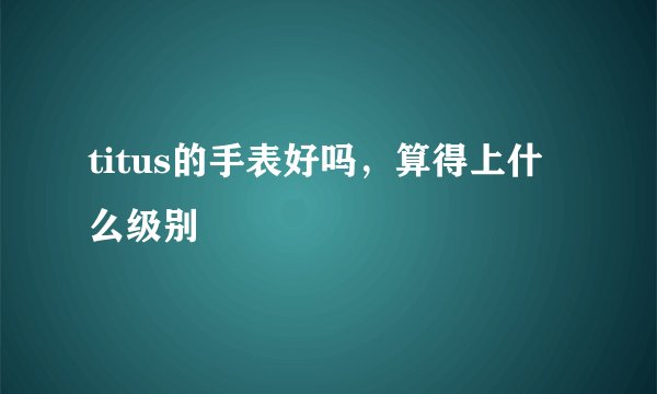 titus的手表好吗，算得上什么级别