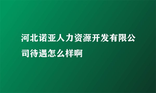河北诺亚人力资源开发有限公司待遇怎么样啊
