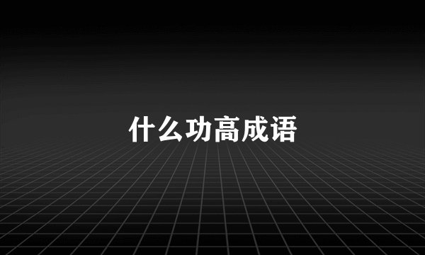什么功高成语