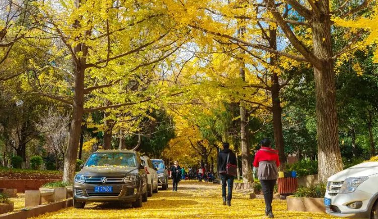 云南大学研究生宿舍是怎样的啊？