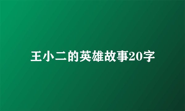 王小二的英雄故事20字