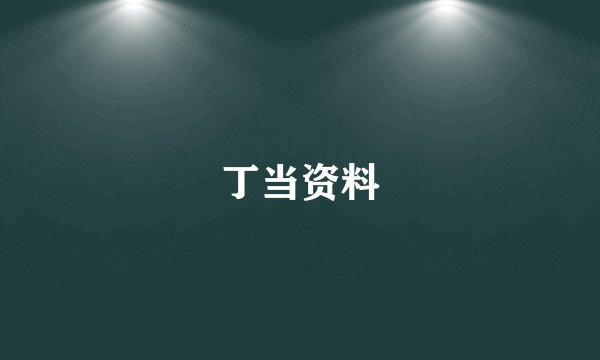 丁当资料