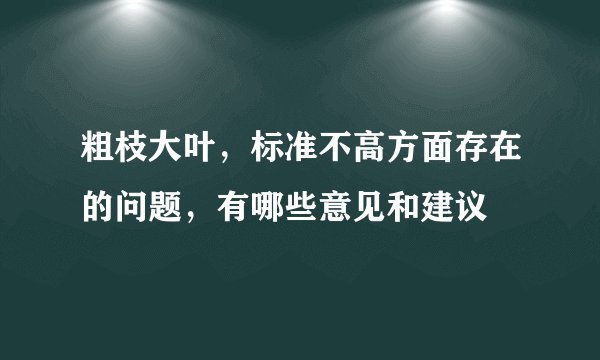 粗枝大叶，标准不高方面存在的问题，有哪些意见和建议