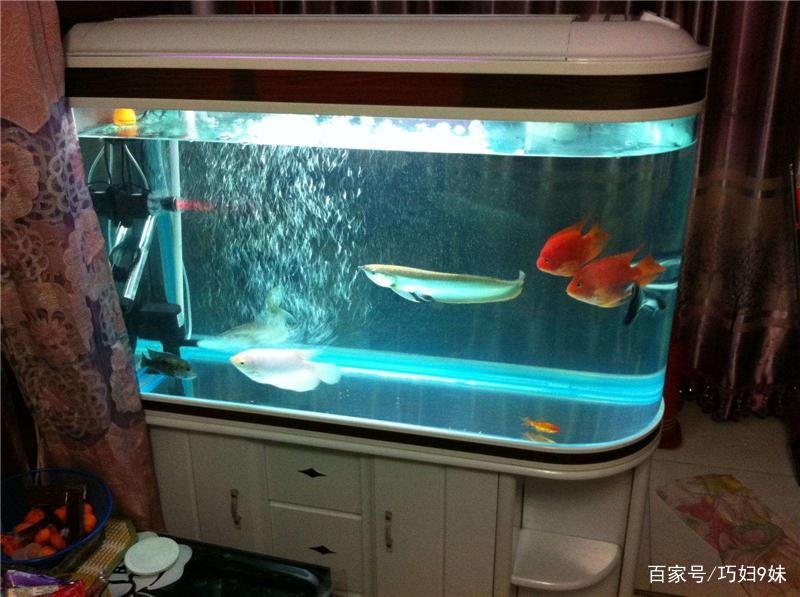 在给鱼缸加过滤棉时，垫几层是最合适的？