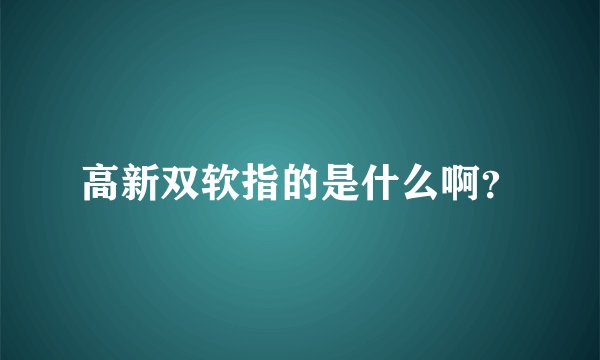 高新双软指的是什么啊？