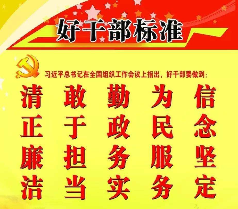 国企好干部的五条标准是什么意思