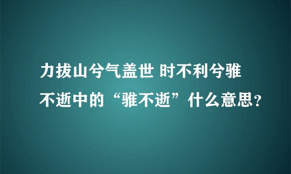 力拔山兮气盖世 时不利兮骓不逝中的“骓不逝”什么意思？
