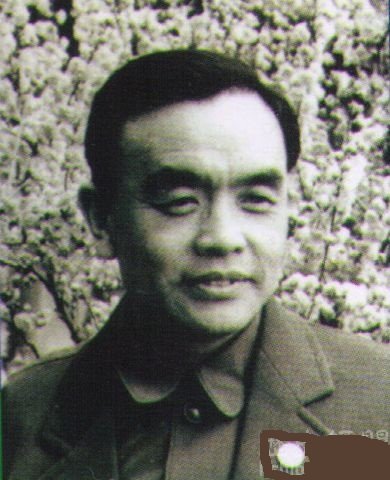 于会泳简介 于会泳与杨春霞是什么关系