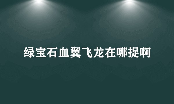 绿宝石血翼飞龙在哪捉啊