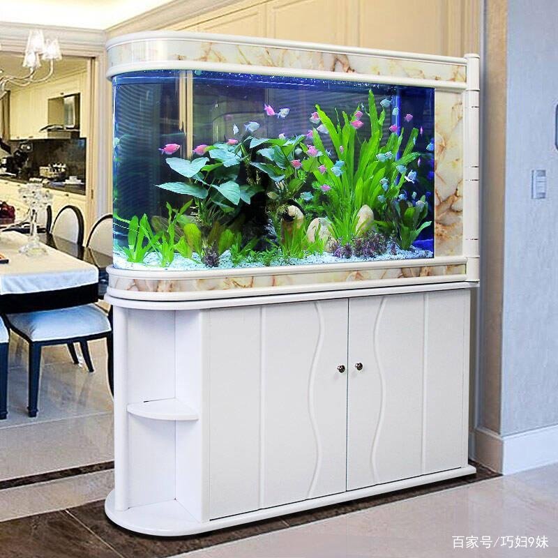 在给鱼缸加过滤棉时，垫几层是最合适的？