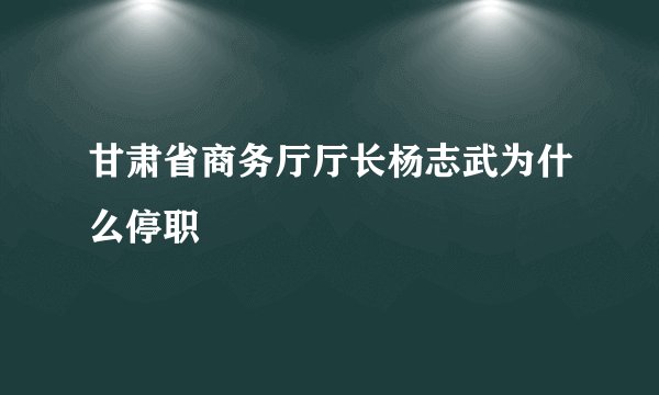 甘肃省商务厅厅长杨志武为什么停职