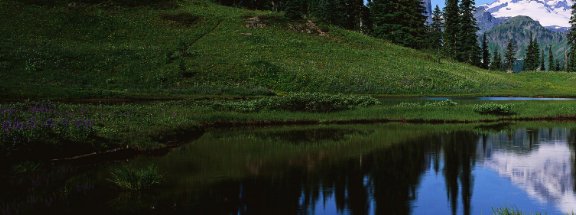 增值税专用发票开设计费税率是多少
