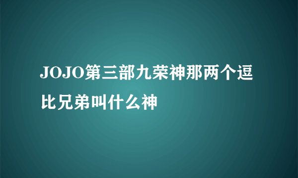 JOJO第三部九荣神那两个逗比兄弟叫什么神