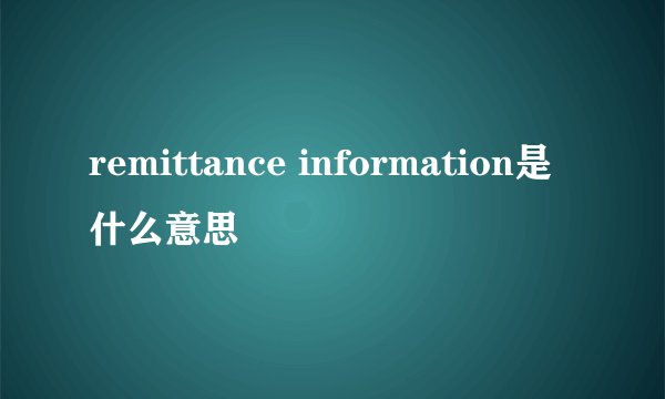 remittance information是什么意思