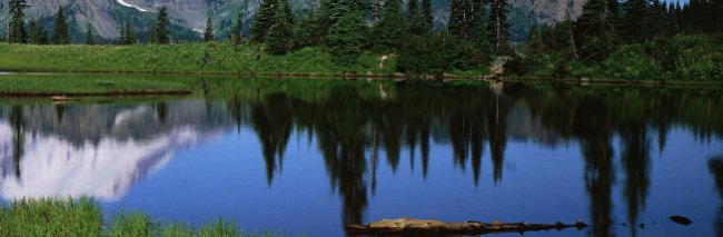 增值税专用发票开设计费税率是多少