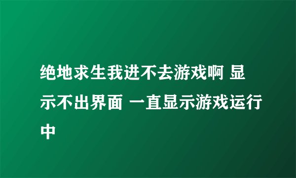 绝地求生我进不去游戏啊 显示不出界面 一直显示游戏运行中
