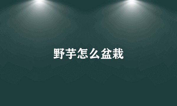 野芋怎么盆栽