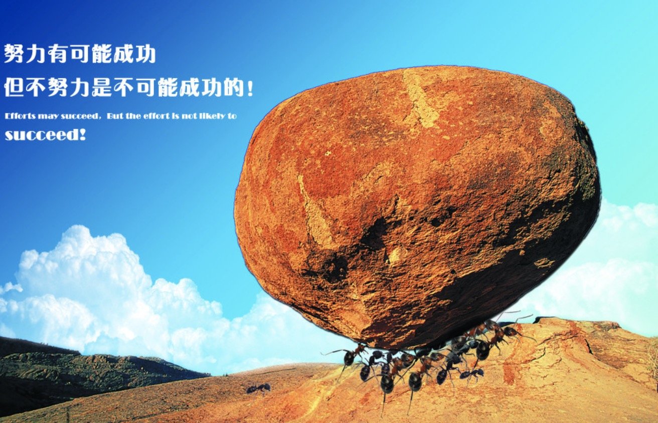 企业双重预防体系建设应遵循的基本原则和要求是什么