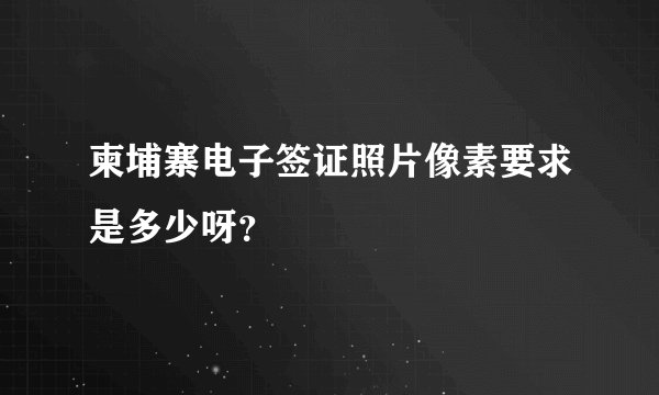 柬埔寨电子签证照片像素要求是多少呀？