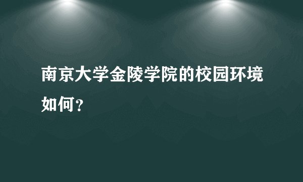 南京大学金陵学院的校园环境如何？