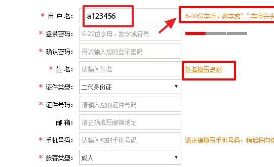 12306注册用户名是什么格式，请举例。谢谢！急
