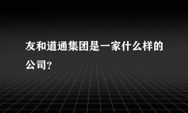 友和道通集团是一家什么样的公司？
