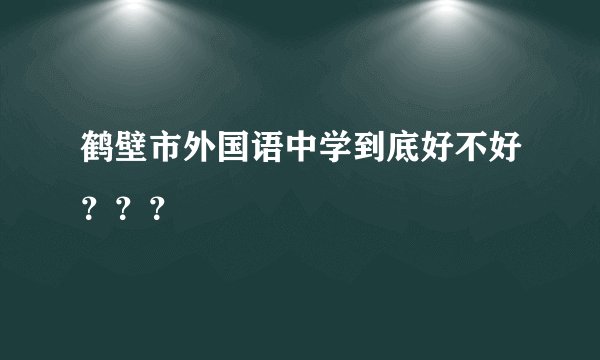 鹤壁市外国语中学到底好不好？？？