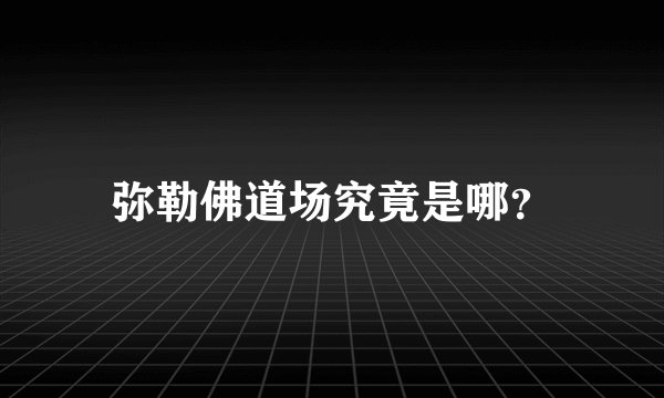 弥勒佛道场究竟是哪？