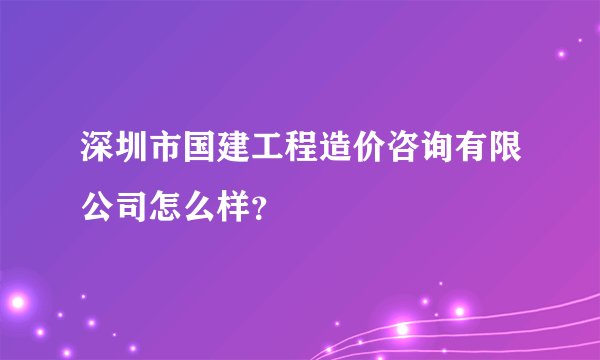 深圳市国建工程造价咨询有限公司怎么样？