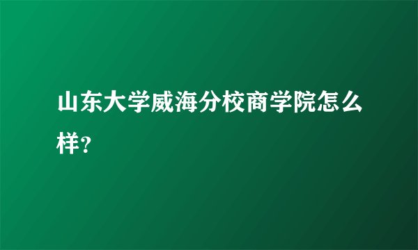 山东大学威海分校商学院怎么样？