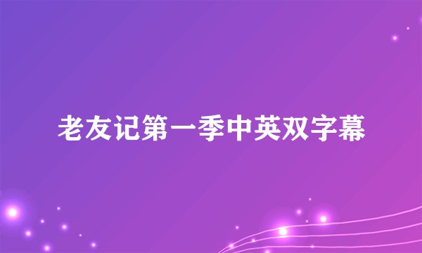 老友记第一季中英双字幕