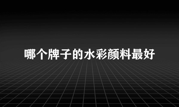 哪个牌子的水彩颜料最好