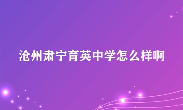 沧州肃宁育英中学怎么样啊