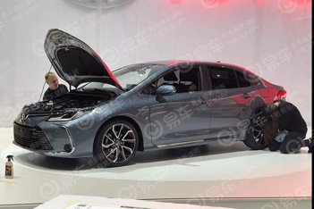 2019款卡罗拉图片