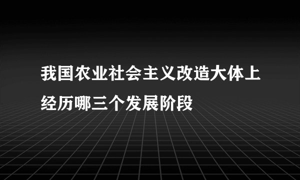 我国农业社会主义改造大体上经历哪三个发展阶段