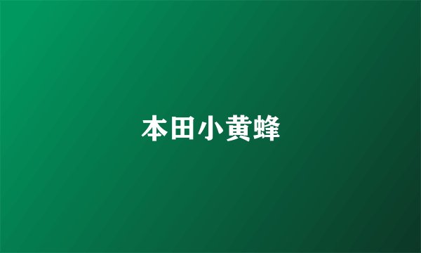 本田小黄蜂