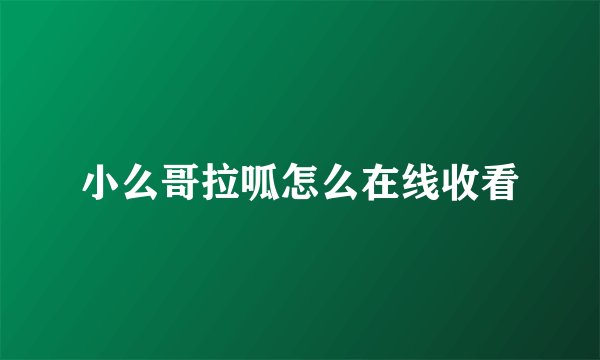 小么哥拉呱怎么在线收看