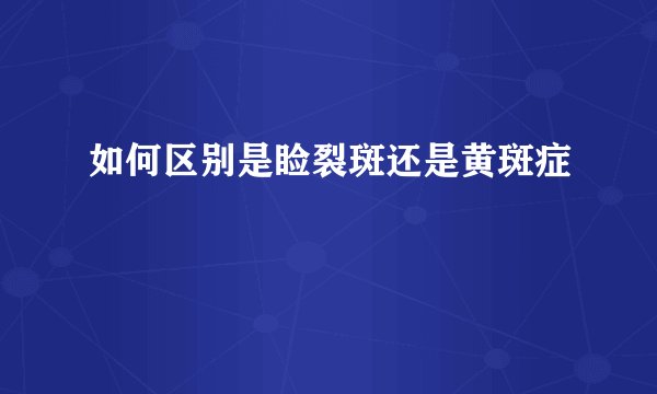 如何区别是睑裂斑还是黄斑症