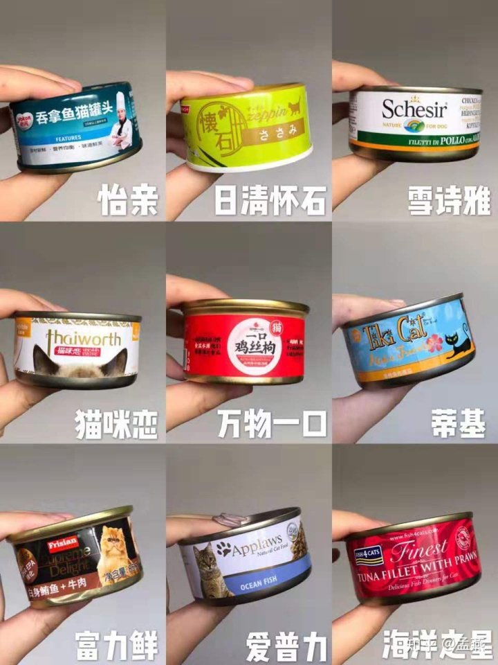 猫罐头排行榜上哪种猫罐头好？