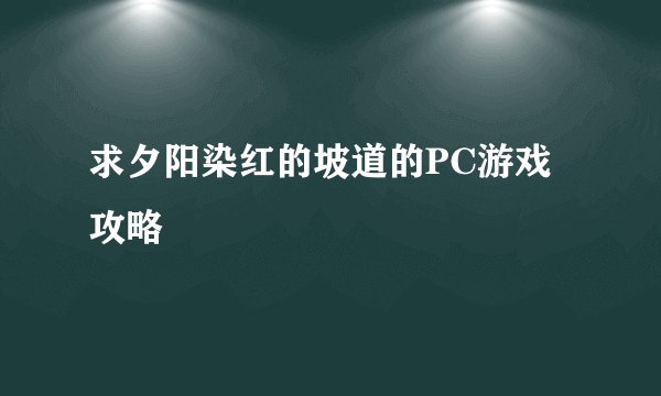 求夕阳染红的坡道的PC游戏攻略