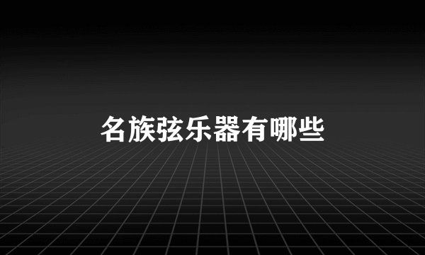 名族弦乐器有哪些