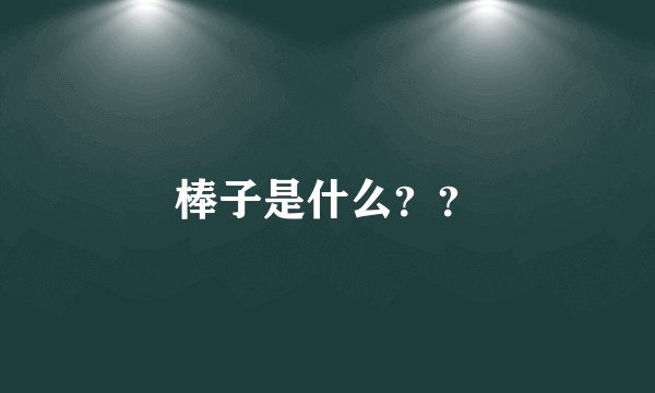 棒子是什么？？