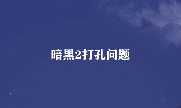 暗黑2打孔问题