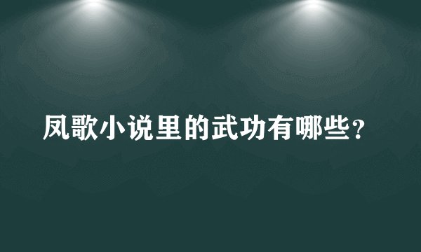 凤歌小说里的武功有哪些？