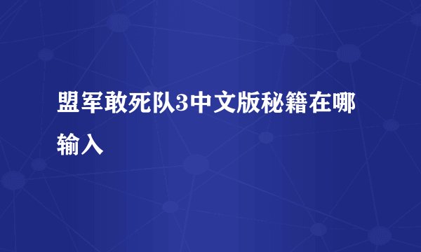 盟军敢死队3中文版秘籍在哪输入